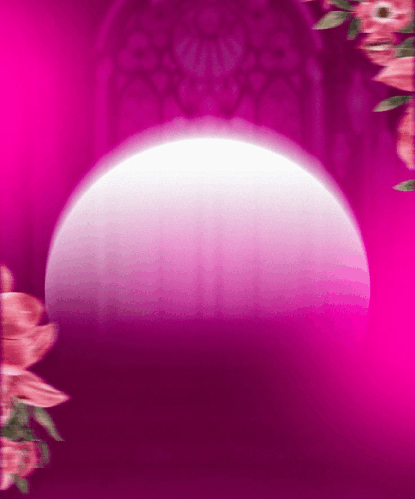 Fundos para Evento de Mulheres