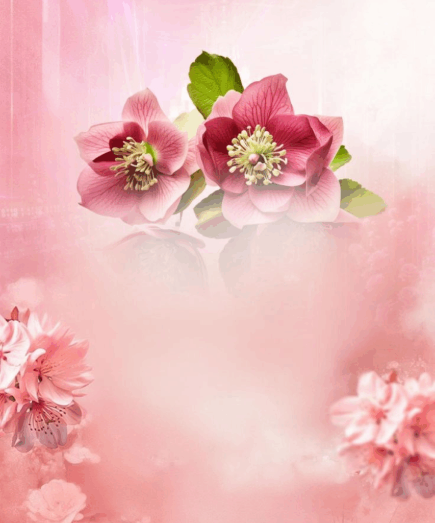 Fundos para Evento de Mulheres